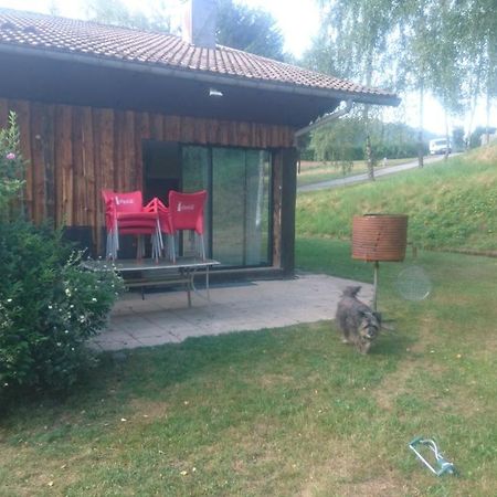 Gite Renove Au Calme 1 A 14 Personnes La Bresse Eksteriør billede